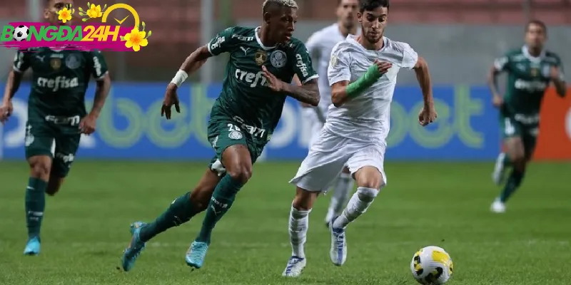 lịch thi đấu giải vô địch brazil